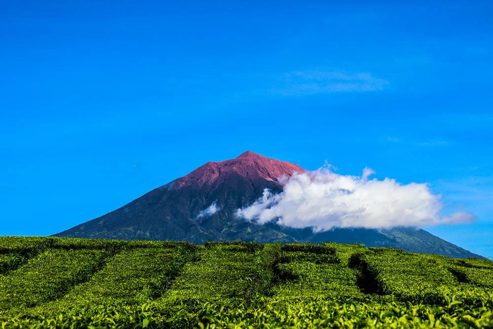 Taman Nasional Kerinci Seblat